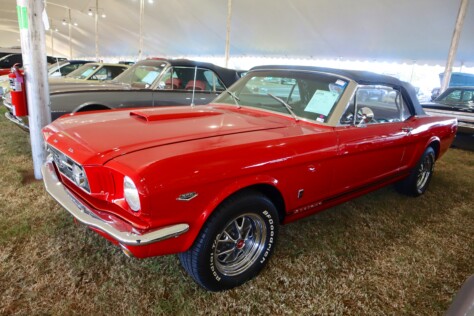 seven-standout-stallions-from-mecums-massive-florida-auction-2025-01-15_13-25-57_076854
