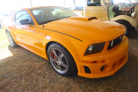 seven-standout-stallions-from-mecums-massive-florida-auction-2025-01-15_13-26-04_212478