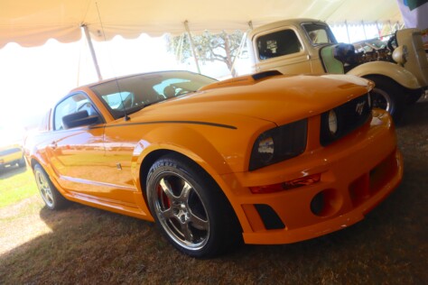 seven-standout-stallions-from-mecums-massive-florida-auction-2025-01-15_13-26-11_494829