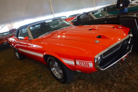seven-standout-stallions-from-mecums-massive-florida-auction-2025-01-15_13-26-18_539621