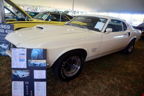 seven-standout-stallions-from-mecums-massive-florida-auction-2025-01-15_13-26-25_661154