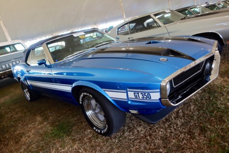 seven-standout-stallions-from-mecums-massive-florida-auction-2025-01-15_13-26-32_944243