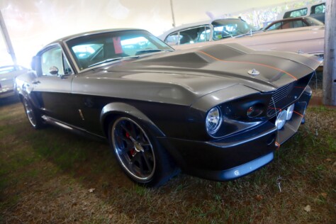 seven-standout-stallions-from-mecums-massive-florida-auction-2025-01-15_13-26-47_594537