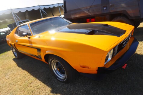 seven-standout-stallions-from-mecums-massive-florida-auction-2025-01-15_13-26-54_626062