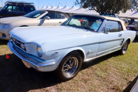 seven-standout-stallions-from-mecums-massive-florida-auction-2025-01-15_13-27-16_376186