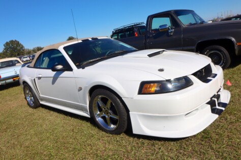 seven-standout-stallions-from-mecums-massive-florida-auction-2025-01-15_13-27-23_964916