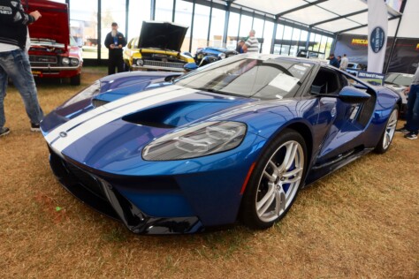 seven-standout-stallions-from-mecums-massive-florida-auction-2025-01-15_13-27-46_002784