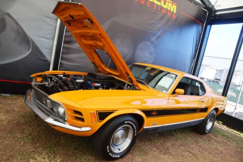 seven-standout-stallions-from-mecums-massive-florida-auction-2025-01-15_13-28-14_668175