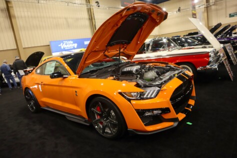 seven-standout-stallions-from-mecums-massive-florida-auction-2025-01-15_13-28-50_103950