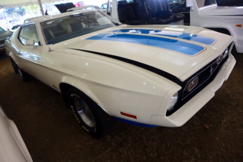 seven-standout-stallions-from-mecums-massive-florida-auction-2025-01-15_13-29-11_211980