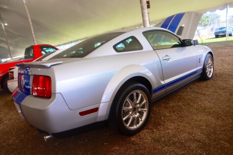 seven-standout-stallions-from-mecums-massive-florida-auction-2025-01-15_13-29-18_435105