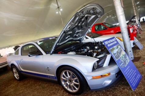 seven-standout-stallions-from-mecums-massive-florida-auction-2025-01-15_13-29-25_408383