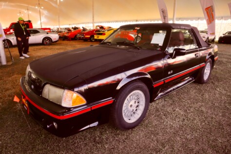 seven-standout-stallions-from-mecums-massive-florida-auction-2025-01-15_13-29-32_485839