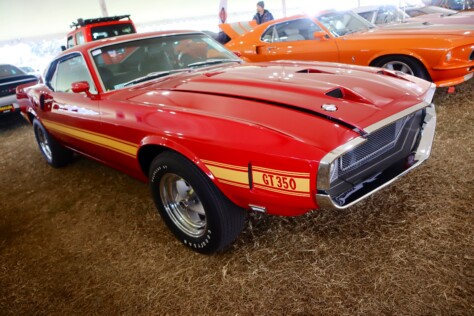 seven-standout-stallions-from-mecums-massive-florida-auction-2025-01-15_13-29-39_575860