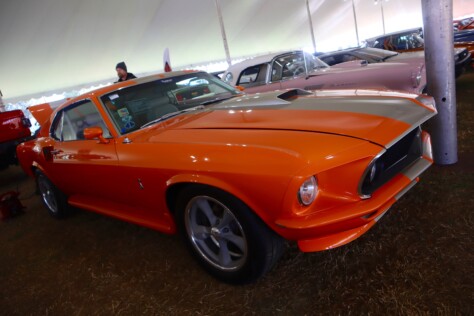 seven-standout-stallions-from-mecums-massive-florida-auction-2025-01-15_13-29-46_648036