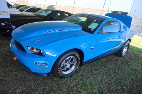 seven-standout-stallions-from-mecums-massive-florida-auction-2025-01-15_13-29-53_768975