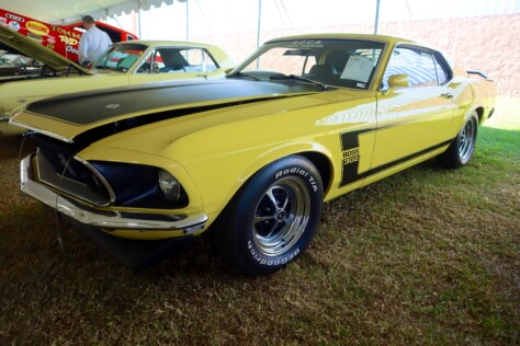 seven-standout-stallions-from-mecums-massive-florida-auction-2025-01-15_13-30-01_034651