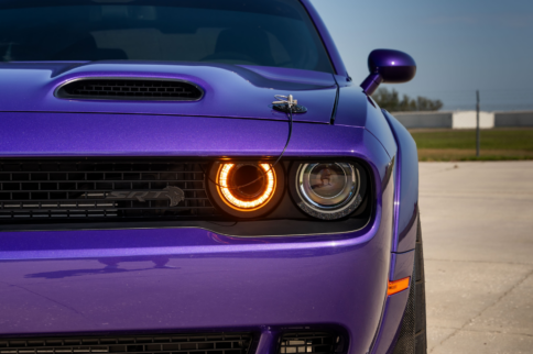 Dream Giveaway's Plum Crazy Challenger Giveaway