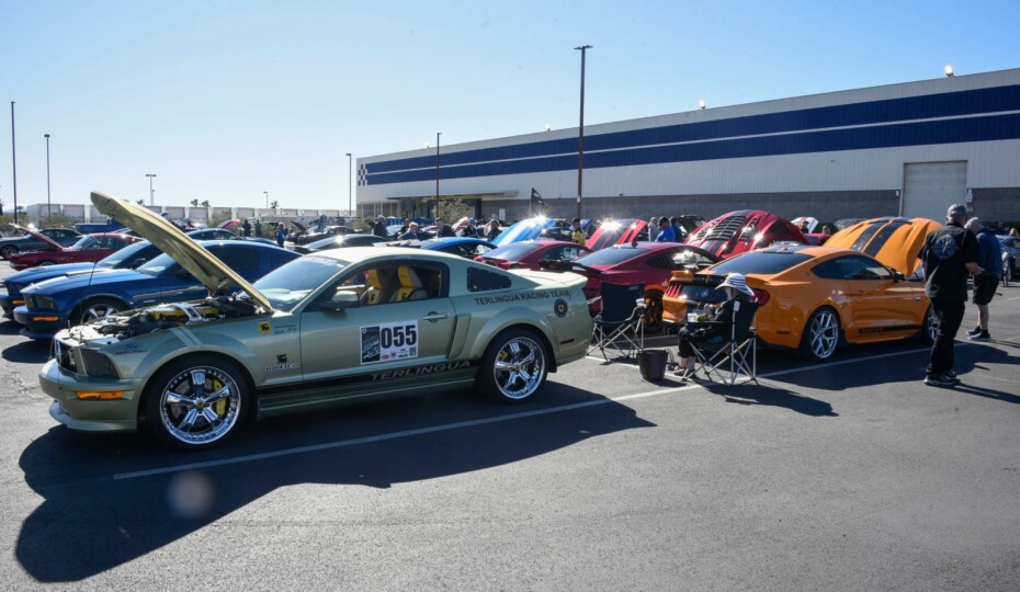 Shelby Bash Slithers Into Sin City To Celebrate 60 Years Of Muscle