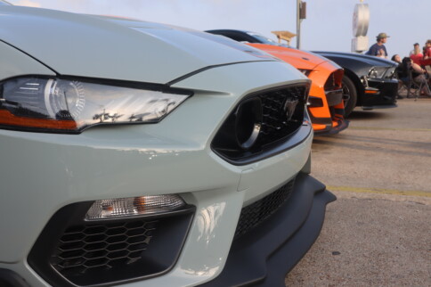 Mustang Week Texas 2025 Roundup