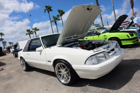 our-favorite-mustangs-from-the-mca-national-show-in-orlando-2025-04-10_07-45-52_636259