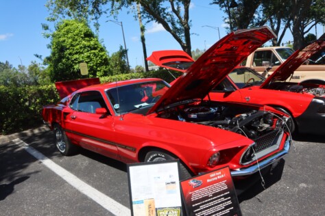 six-striking-stallions-from-the-mustang-club-of-tampas-annual-show-2025-04-22_13-44-17_127331