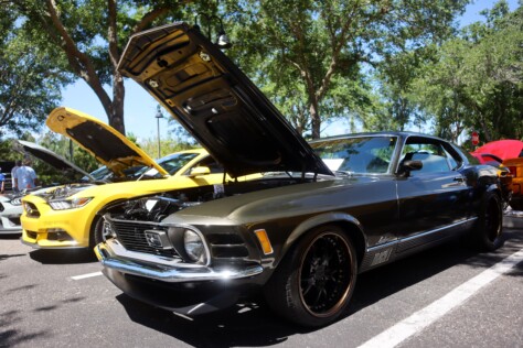 six-striking-stallions-from-the-mustang-club-of-tampas-annual-show-2025-04-22_13-46-23_487234