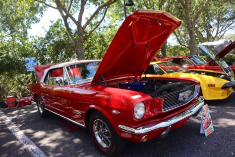 six-striking-stallions-from-the-mustang-club-of-tampas-annual-show-2025-04-22_13-46-45_763793
