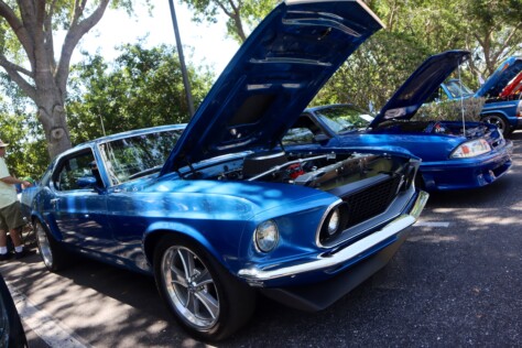 six-striking-stallions-from-the-mustang-club-of-tampas-annual-show-2025-04-22_13-47-00_551968