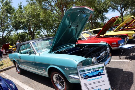 six-striking-stallions-from-the-mustang-club-of-tampas-annual-show-2025-04-22_13-47-31_608909