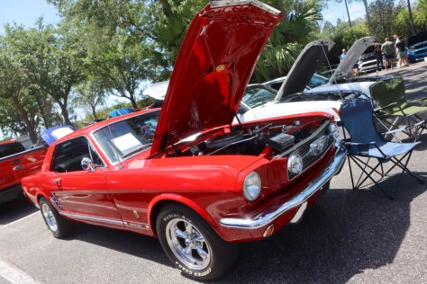 six-striking-stallions-from-the-mustang-club-of-tampas-annual-show-2025-04-22_13-48-45_887355