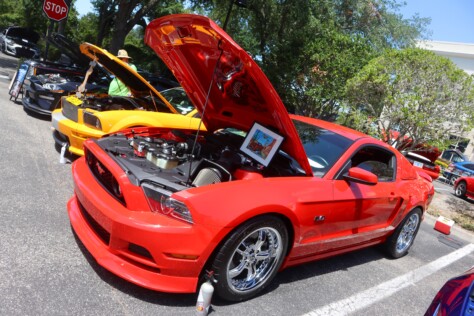 six-striking-stallions-from-the-mustang-club-of-tampas-annual-show-2025-04-22_13-49-23_134798