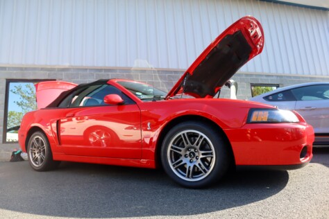 the-mustang-owners-museum-threw-an-early-pony-car-birthday-party-2025-04-15_14-20-38_597192