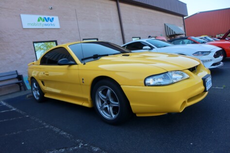 the-mustang-owners-museum-threw-an-early-pony-car-birthday-party-2025-04-15_14-24-46_343963