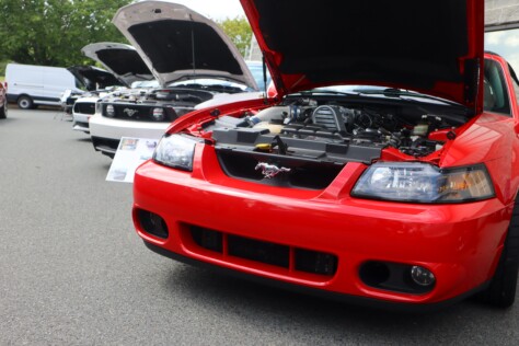the-mustang-owners-museum-threw-an-early-pony-car-birthday-party-2025-04-15_14-28-40_275337