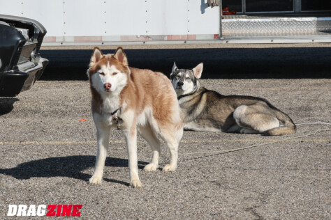 true-no-prep-2025-king-of-columbus-race-recap-2025-04-15_06-09-05_200521