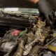 Chasing 500hp: 190/30 Injectors Push 6.0L Power Stroke To New Limit
