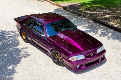 Texas 10: James Bingham Jr.’s Voodoo Violet Fox Is A Triple Threat