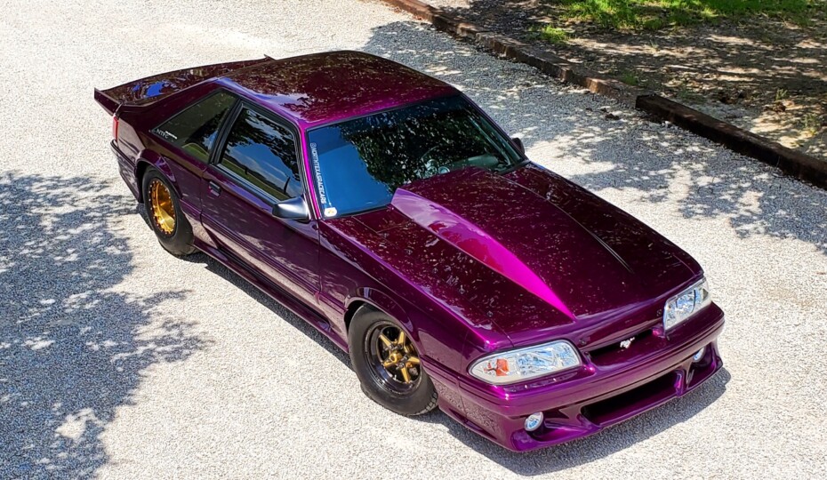Texas 10: James Bingham Jr.’s Voodoo Violet Fox Is A Triple Threat
