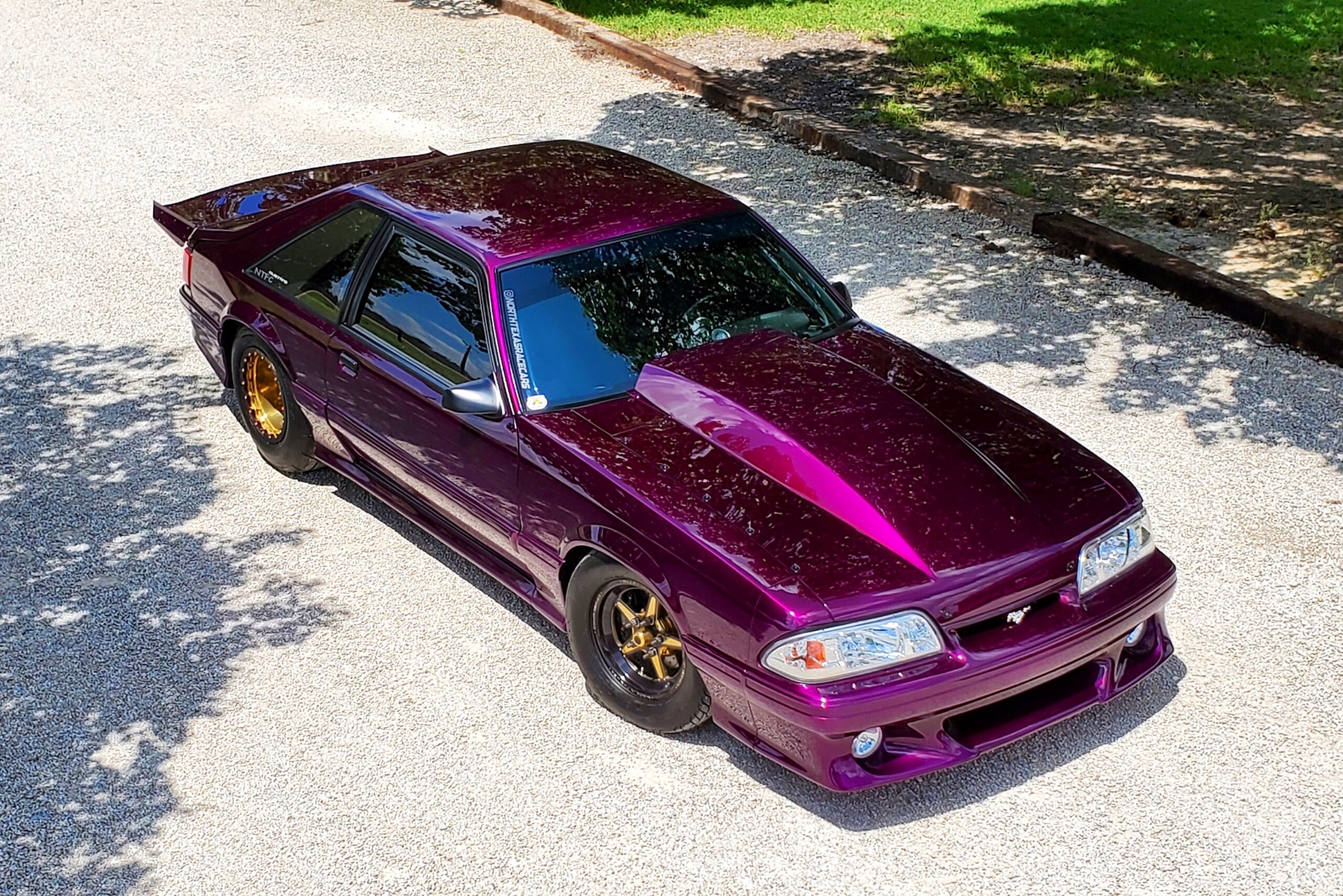 Texas 10: James Bingham Jr.’s Voodoo Violet Fox Is A Triple Threat