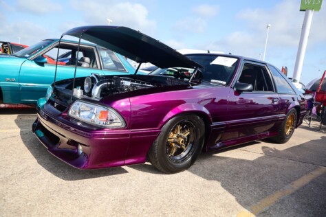 texas-10-james-bingham-jr-s-voodoo-violet-fox-is-a-triple-threat-2025-05-28_08-12-30_058328