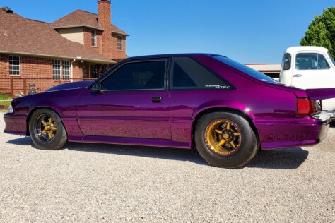 texas-10-james-bingham-jr-s-voodoo-violet-fox-is-a-triple-threat-2025-05-28_08-12-55_199296