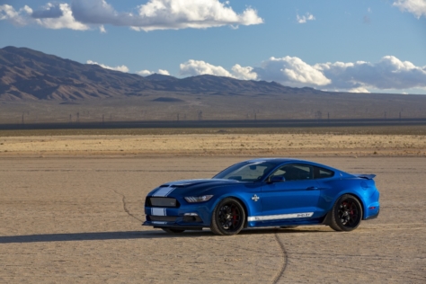 50th-Shelby-Super-Snake-6982