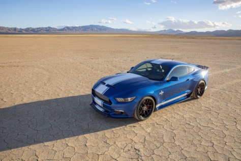 50th-Shelby-Super-Snake-7023