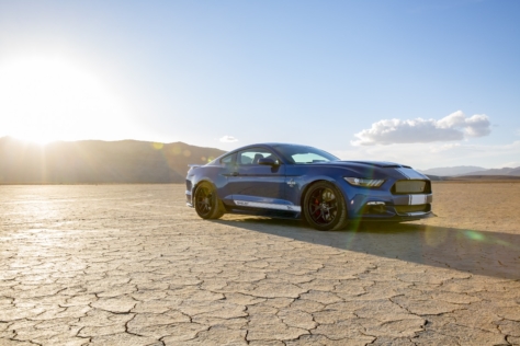 50th-Shelby-Super-Snake-7041