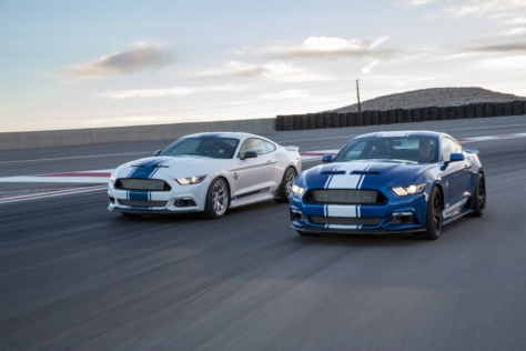 50th-Shelby-Super-Snake-7429