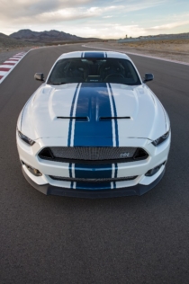 50th-Shelby-Super-Snake-7628
