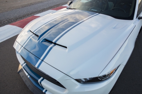 50th-Shelby-Super-Snake-7647