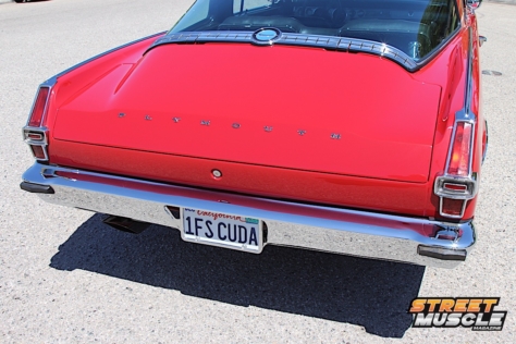 ChrisPbarracuda31