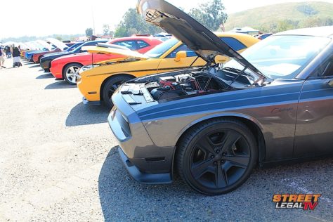sf10-146